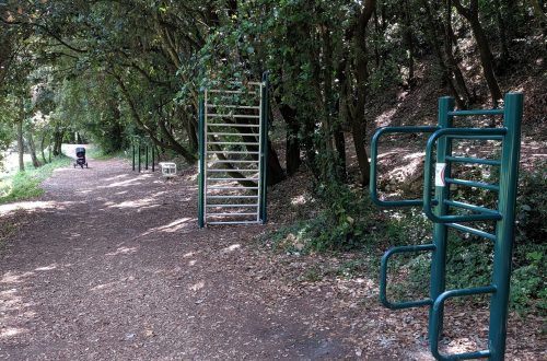 Styrketræning i ferien bliver lidt sjovere, når man opdager træningsredskaber i skoven :)