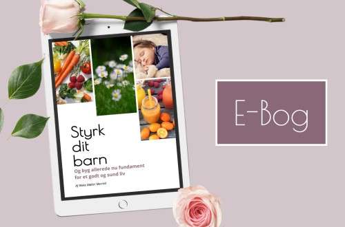 E-bog styrk dit barn