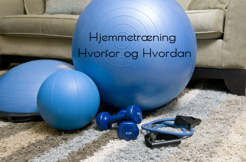 hvorfor og hvordan hjemmetræning